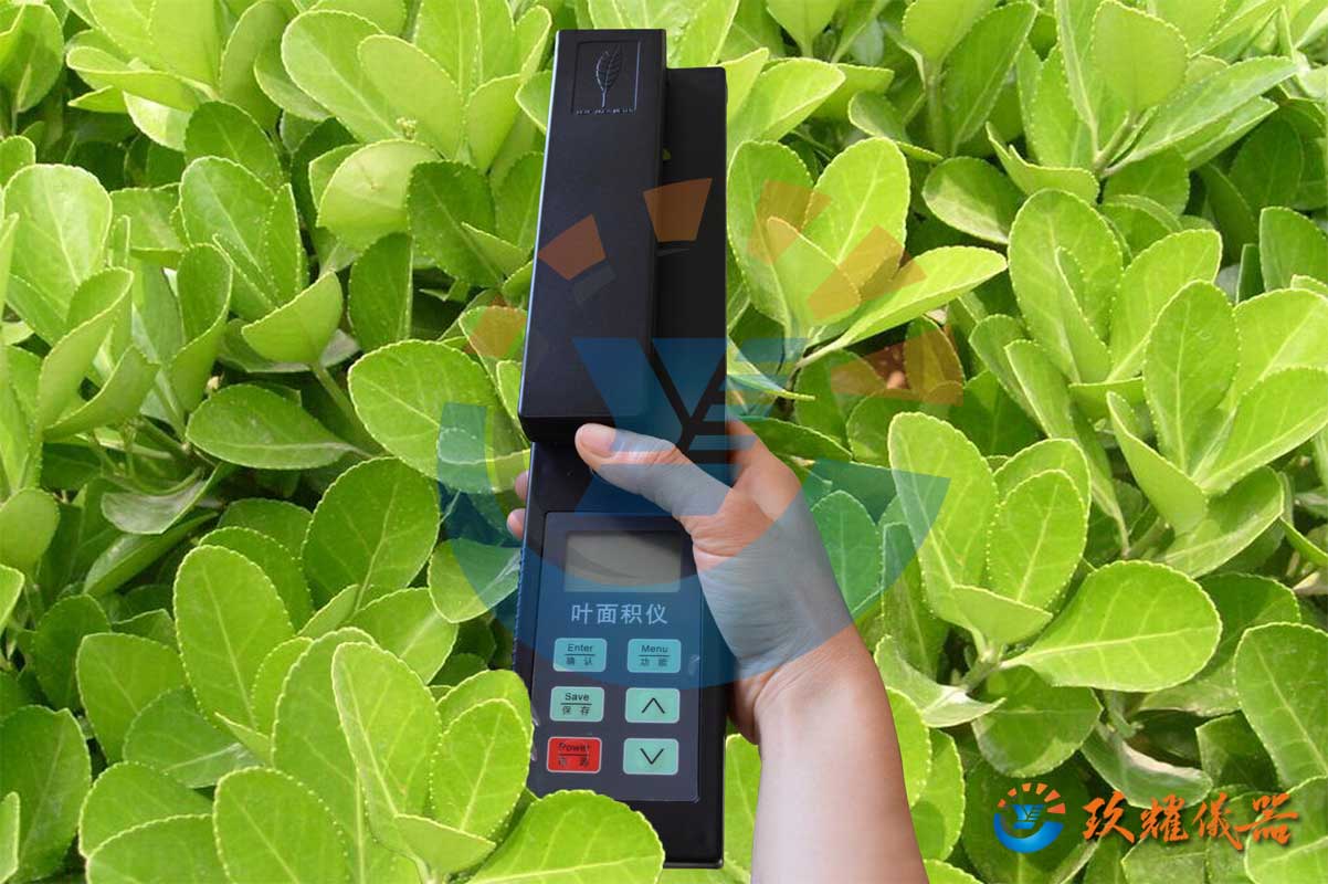 活體葉面積儀_手持式葉面積測(cè)量?jī)x_葉面積測(cè)定儀